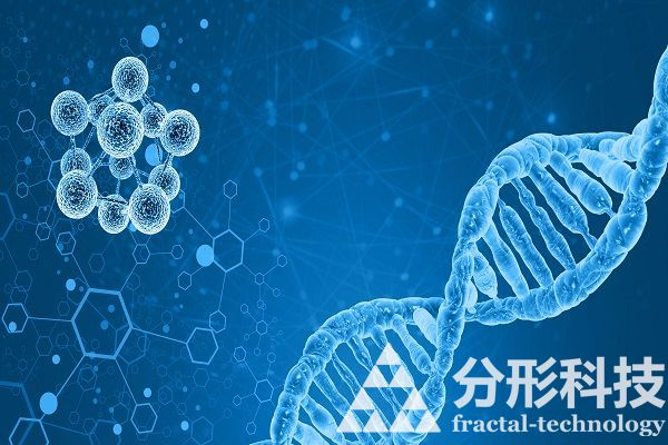 醫(yī)院網(wǎng)站建設：打造有溫度的醫(yī)患情感連接器